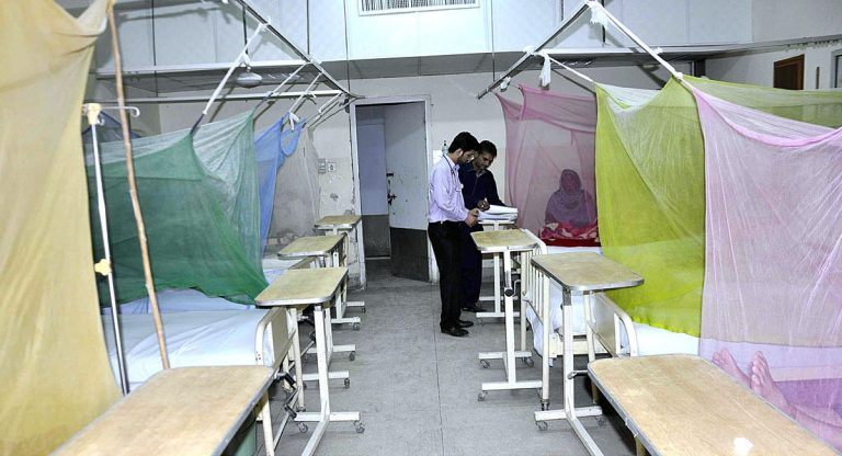 Punjab Records 203 New Dengue Cases