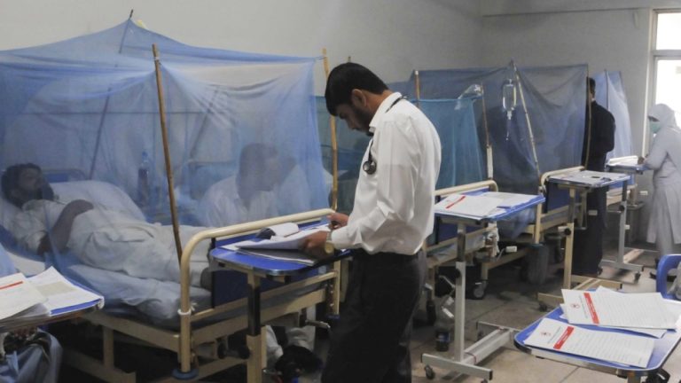 Punjab Records 177 New Dengue Cases