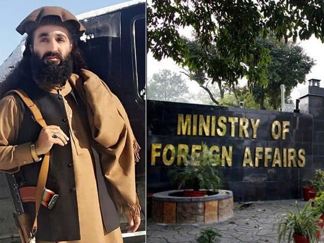 Banu Suicide Attack: Pakistan Demands Extradition of Hafiz Gul Bahadur