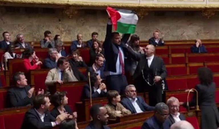 French MP Suspended for Displaying Palestinian Flag During Debate