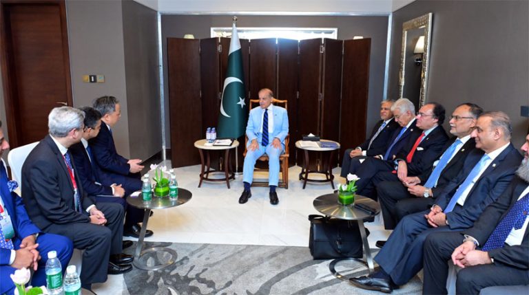 PM Shehbaz Pledges Facilities for Foreign Investors in Pakistan