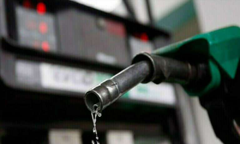 Government Proposes 33% Increase in Petrol and Diesel Levy for FY 2024-25