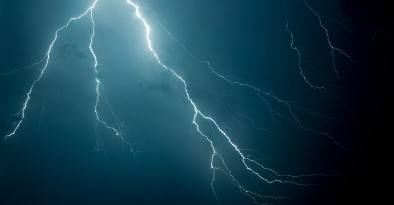 Lightning Kills 36 Goats in Muzaffargarh