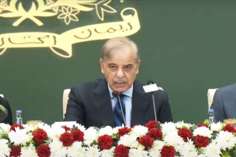 PM Shehbaz Clarifies Punjab’s Electricity Subsidy Funded by Provincial Resources