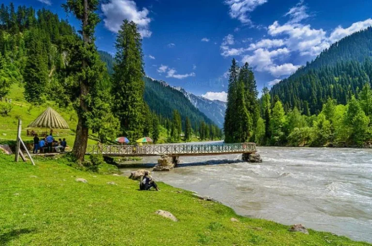 Galiyat Valley Welcomes 1 Million Eco-Tourists in Current Year