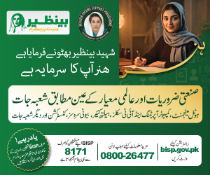 Benazir Hunarmand Program Campaign 2025