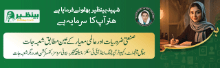 Benazir Hunarmand Program Campaign 2025