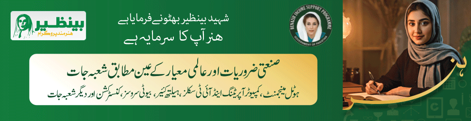 Benazir Hunarmand Program Campaign 2025