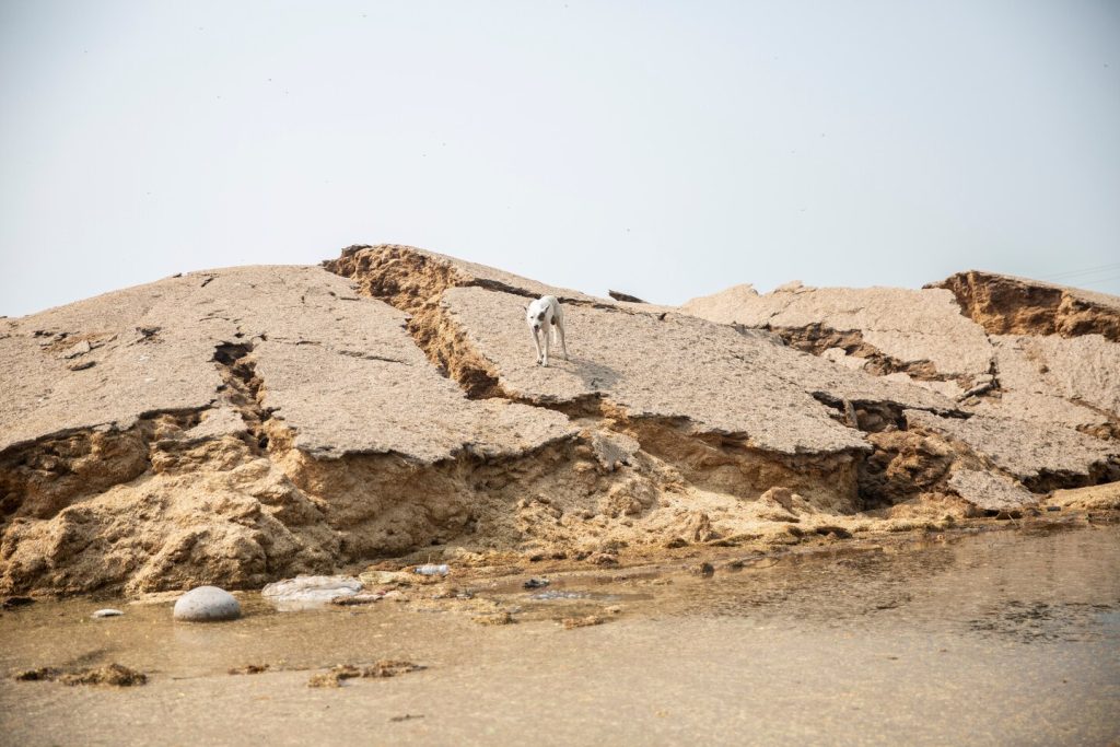 COP30: Pakistan’s Climate Expert Warns of Rising Militarism, Empty Promises, and Shrinking Space for Cooperation