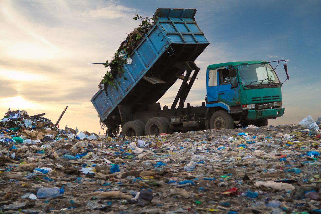 Punjab Imposes Rs50,000 Fine on Waste Dumping During Eid ul Adha Cleanliness Drive