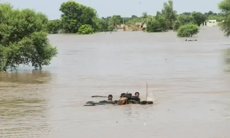 Punjab Flood Conditions Rise as Rivers Swell in Monsoon Punjab Flood Conditions Rise as Rivers Swell in Monsoon